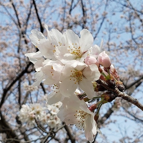 新入職員紹介